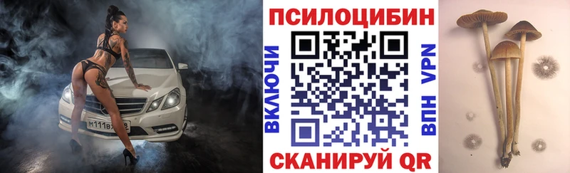 Галлюциногенные грибы мухоморы Купить закладки Братск